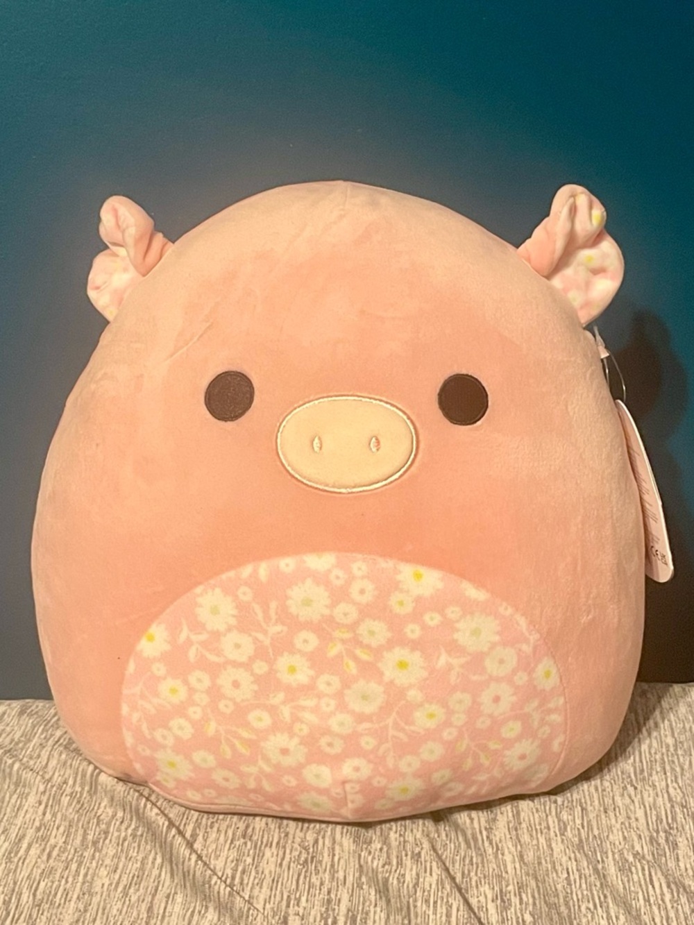 BNWT Peter the Pig Squishmallow Spring